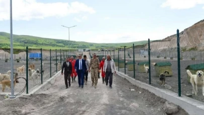 Vali, Çıldır’daki hayvan barınağını inceledi