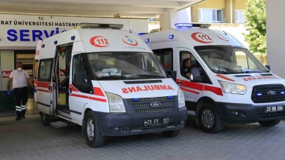 Elazığ’da kenenin ısırdığı adam hastaneye kaldırıldı