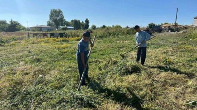 Akyaka’da ot biçimi başladı