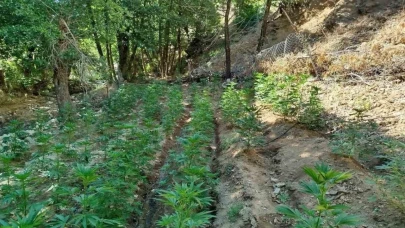 Bingöl’de uyuşturucu operasyonu