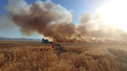 Bingöl’de onlarca dönüm ekili arazi küle döndü
