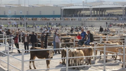 Ardahan’da hayvan pazarı kapatıldı!