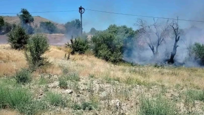 Elazığ’da korkutan yangın: Onlarca dönümlük alan kül oldu