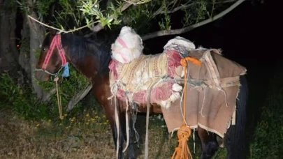 İran’dan katırla yurda sokulan 97 kilogram uyuşturucuya 1 gözaltı