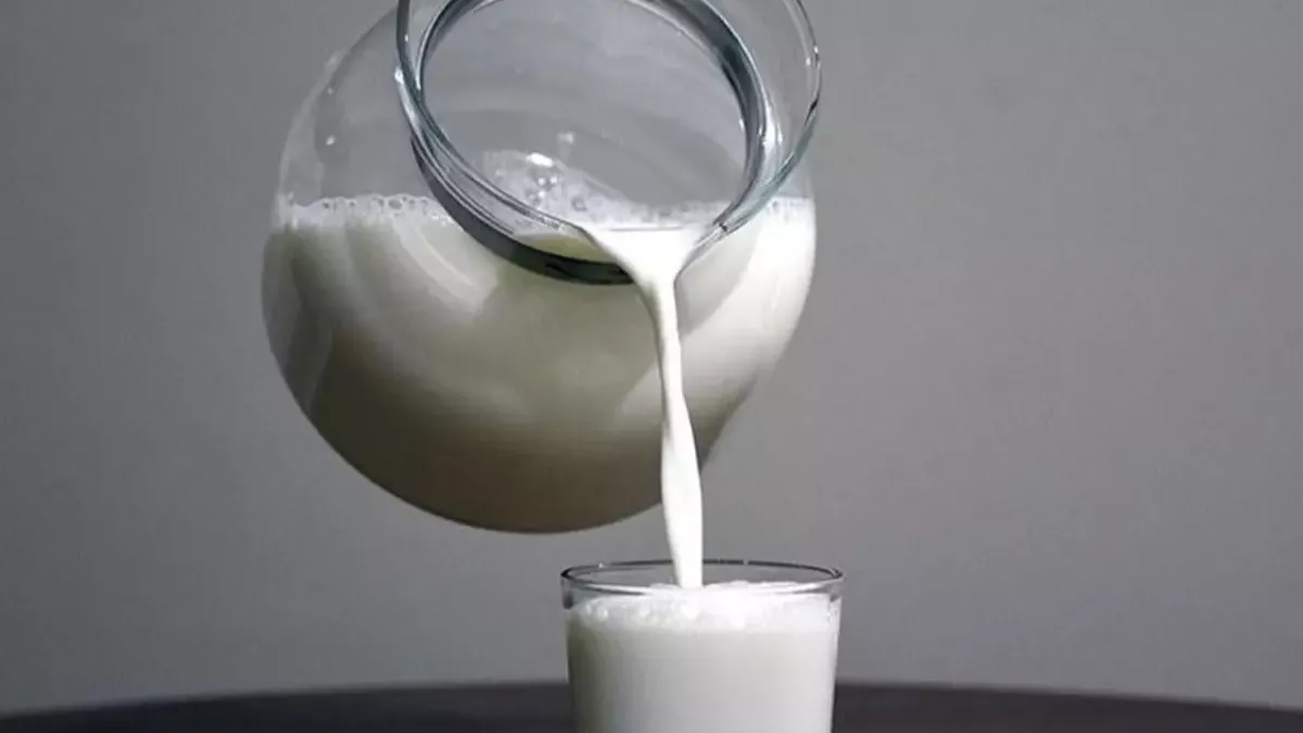 Yaptıkları yanlarına kalmadı! 4 ünlü süt şirketine rekor ceza