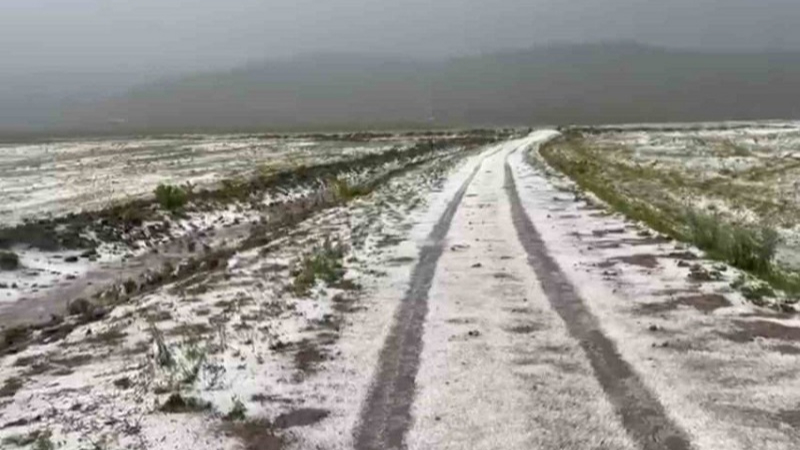 Ardahan’da tarım arazilerini dolu vurdu