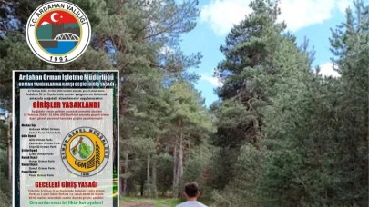Valilik, ormanlara girişleri yasakladı