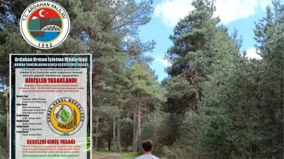 Valilik, ormanlara girişleri yasakladı