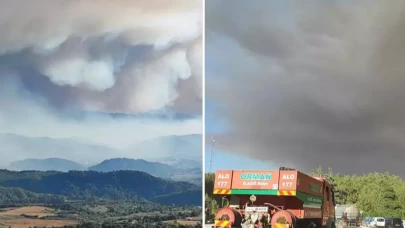 Suriye'deki orman yangını Hatay'ın Yayladağı ilçesine sıçradı