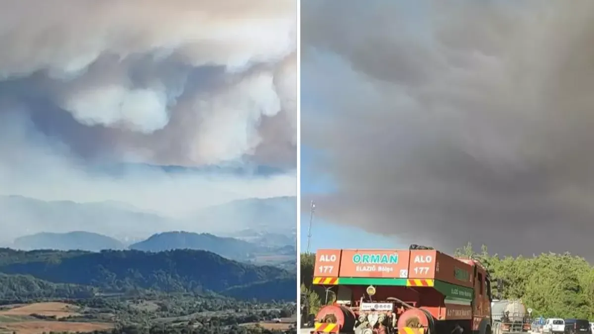 Suriye'deki orman yangını Hatay'ın Yayladağı ilçesine sıçradı