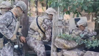 Bitlis merkezli suç örgütü operasyonunda 22 kişi gözaltına alındı