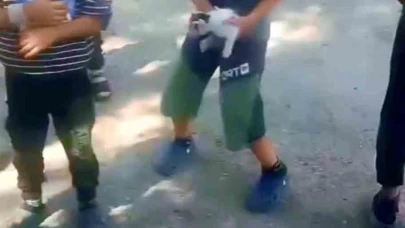 Kuyuda mahsur kalan kedinin yardımına çocuklar yetişti
