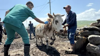 Ardahan'da, şap hastalığıyla mücadele için ekipler seferber oldu