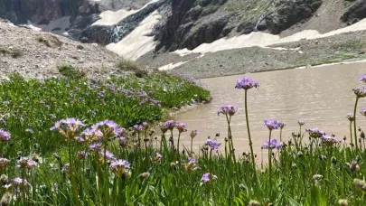 Cilo Dağı’nda buzullar hızla eriyor