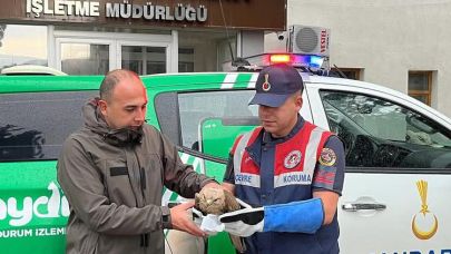 Jandarmadan doğaya şefkat eli
