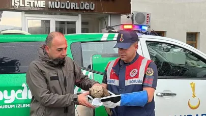 Jandarmadan doğaya şefkat eli
