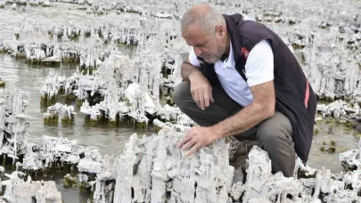 Van Gölü’nde şu ana kadarki en büyük mikrobiyalit görüntülendi