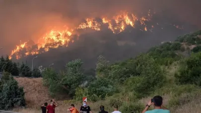 Bilecik'te alevler hızla ilerliyor! 7 köy tahliye edildi