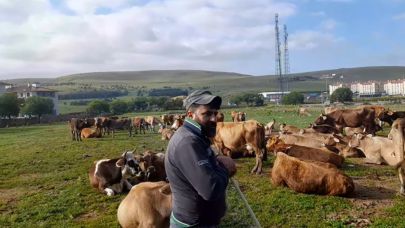 Üretici perişan: Aşı da çare olmadı