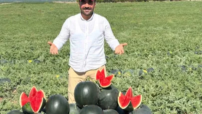 Malatya’da karpuz ve kavun hasadı yüz güldürüyor