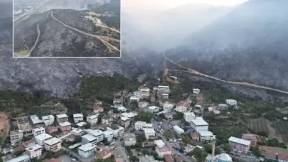 Bursa'daki orman yangınında son durum! Tahribat gün ağarınca ortaya çıktı