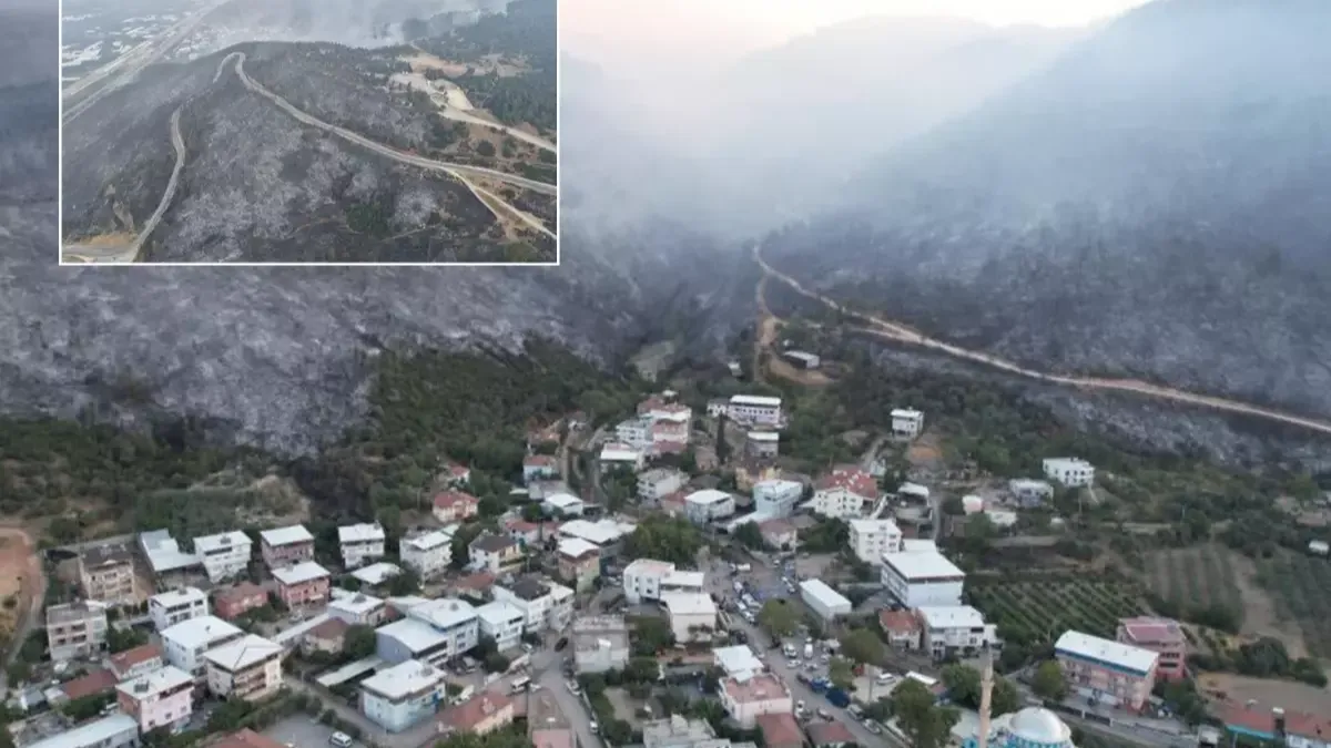 Bursa'daki orman yangınında son durum! Tahribat gün ağarınca ortaya çıktı