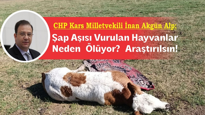 Vekil Alp: Canlı hayvan piyasası çöküyor!