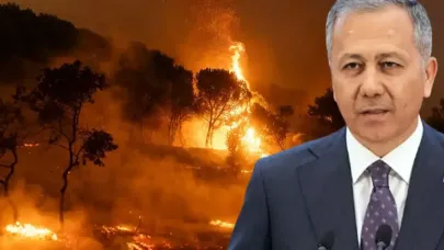 Bakan Yerlikaya orman yangınlarının çıkış nedenini tek tek açıkladı