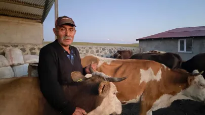 Ardahan’da şap felaketi!