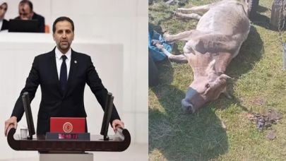 CHP Milletvekili İncesu: üretici desteklenmezse tarım biter