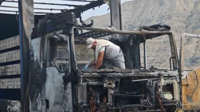 Erzurum-Artvin yolunda tır alev alev yandı