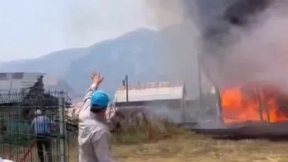 İspir’de ormanlık alanda yangın
