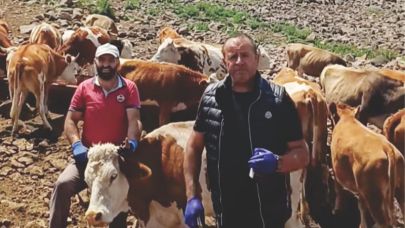 Zengin “Şap sigorta kapsamına alınmalı”