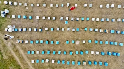 Ağrı’da kadınlar bal üretimine yöneliyor