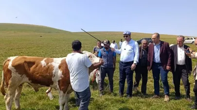 Karslı vekil kasketi taktı Posof yaylasını gezdi