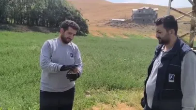 Yaralı baykuş ekipler tarafından kurtarıldı