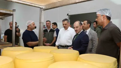 Erzurum’da kaşar üretimi yaygınlaşıyor