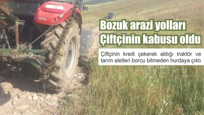Biçin başladı: ot var traktör var ama yol yok!
