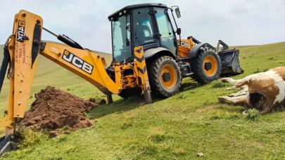 Başkan Taleplere Kayıtsız Kalmadı