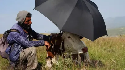 Ardahan'da çaresizliğin fotoğrafı