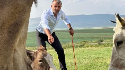 Küpeli: Bu kayıpların hesabını kim verecek?