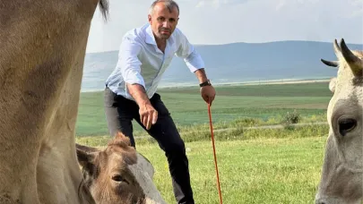 Küpeli: Bu kayıpların hesabını kim verecek?