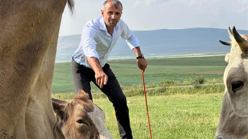 Küpeli: Bu kayıpların hesabını kim verecek?