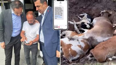 Vekil İncesu: Şap Hastalığı Hayvancılığı Bitirdi, Bölge Afet İlan Edilmeli