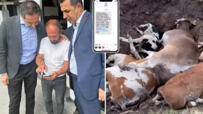 Vekil İncesu: Şap Hastalığı Hayvancılığı Bitirdi, Bölge Afet İlan Edilmeli