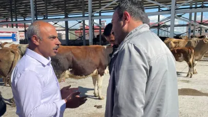 Hayvancılık Zor Durumda: Kredi Erteleme ve Yem Desteği İstiyoruz