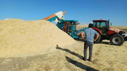 Geçen yıl tarlada çürüyen saman, bu yıl çiftçinin yüzünü güldürdü