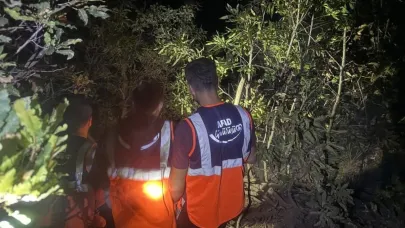 Hakkari’de orman yangını