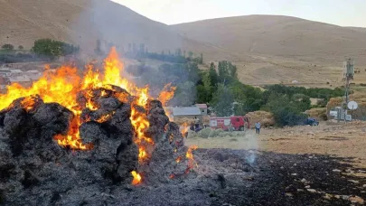 Gevaş’ta ot yangını