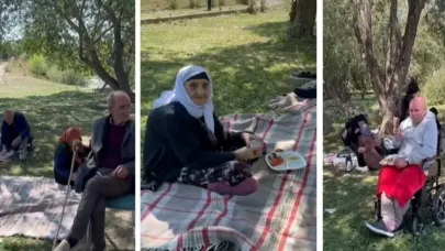Ulu çınarlar piknikte buluştu